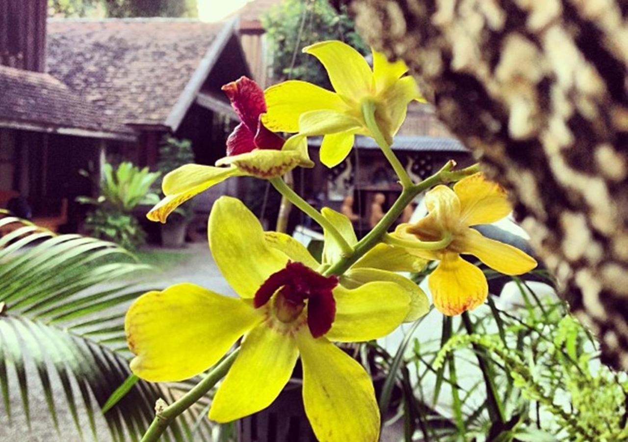 Bed and Breakfast Tanita House Chiang Mai Zewnętrze zdjęcie